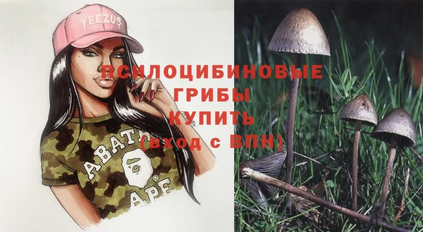 синтетический гашиш Нязепетровск