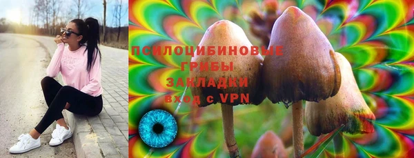 тгк Няндома