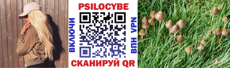 Псилоцибиновые грибы прущие грибы  Ачинск 