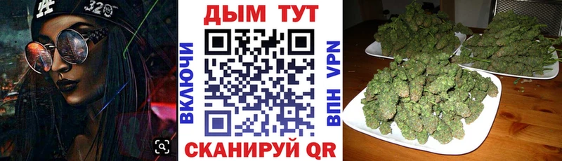 как найти наркотики  Ачинск  Каннабис Amnesia 